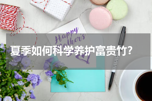  夏季如何科学养护富贵竹？