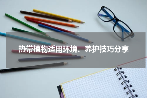 热带植物适用环境、养护技巧分享