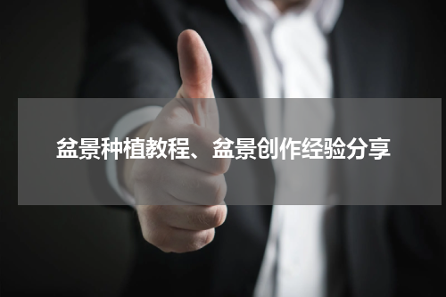 盆景种植教程、盆景创作经验分享
