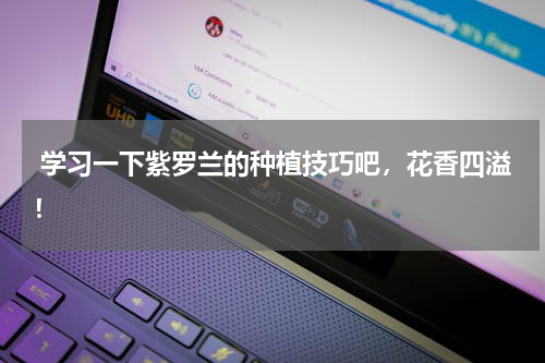  学习一下紫罗兰的种植技巧吧，花香四溢！