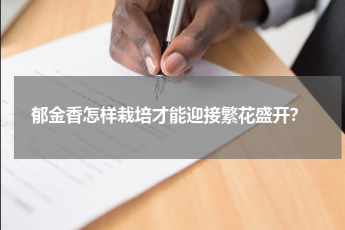  郁金香怎样栽培才能迎接繁花盛开？