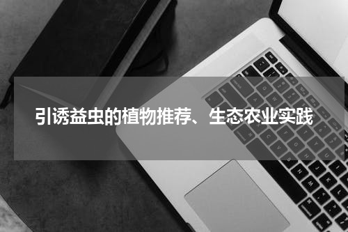 引诱益虫的植物推荐、生态农业实践