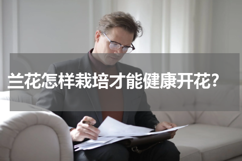  兰花怎样栽培才能健康开花？