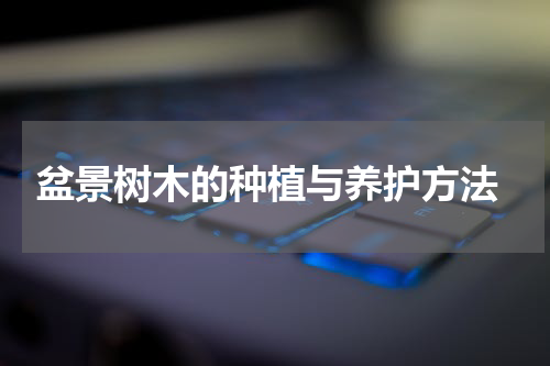  盆景树木的种植与养护方法