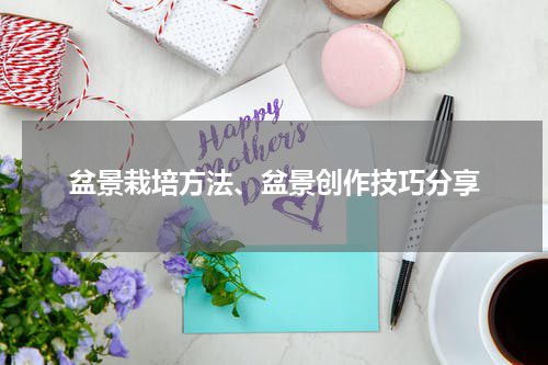 盆景栽培方法、盆景创作技巧分享