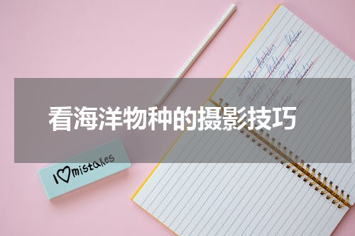  看海洋物种的摄影技巧