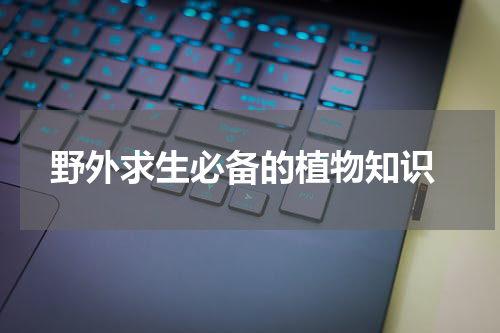  野外求生必备的植物知识