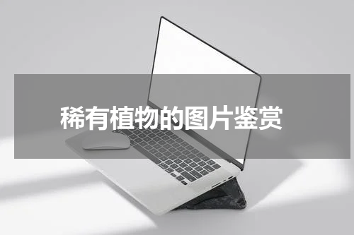  稀有植物的图片鉴赏