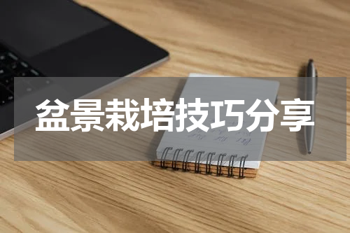 盆景栽培技巧分享