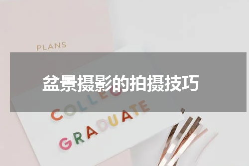  盆景摄影的拍摄技巧