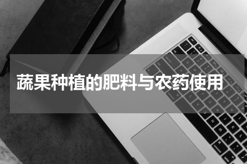  蔬果种植的肥料与农药使用