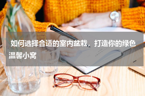  如何选择合适的室内盆栽，打造你的绿色温馨小窝