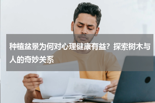 种植盆景为何对心理健康有益？探索树木与人的奇妙关系