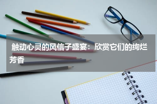  触动心灵的风信子盛宴：欣赏它们的绚烂芳香