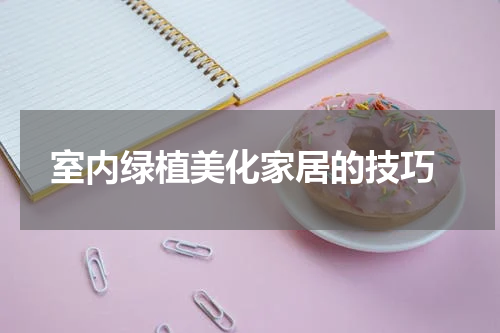  室内绿植美化家居的技巧