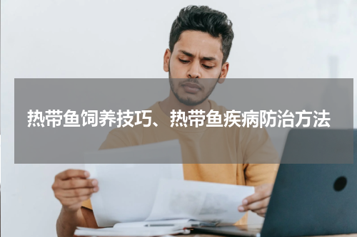 热带鱼饲养技巧、热带鱼疾病防治方法