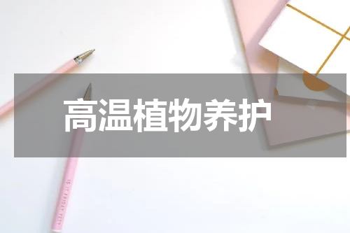  高温植物养护