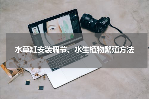 水草缸安装调节、水生植物繁殖方法
