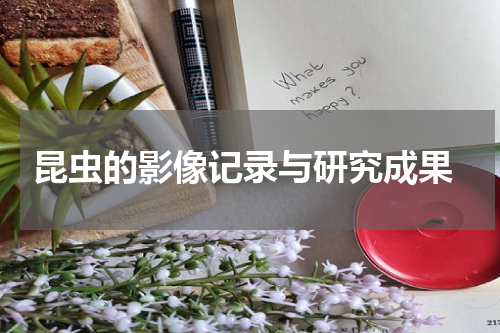  昆虫的影像记录与研究成果