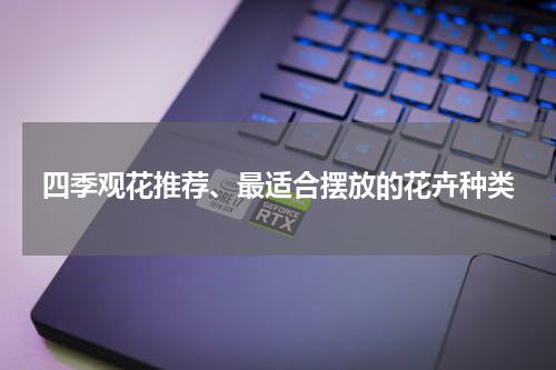 四季观花推荐、最适合摆放的花卉种类