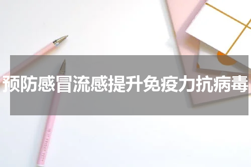 预防感冒流感提升免疫力抗病毒