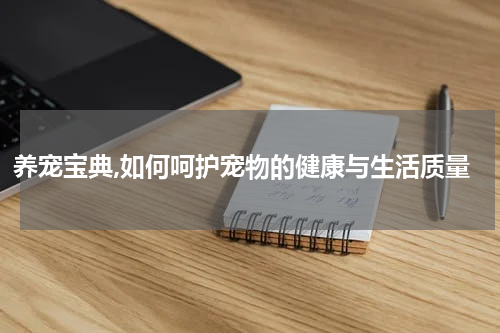 养宠宝典,如何呵护宠物的健康与生活质量