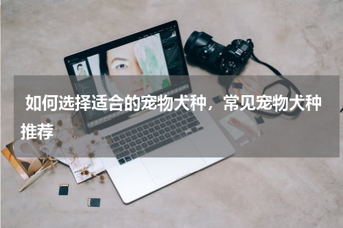  如何选择适合的宠物犬种，常见宠物犬种推荐