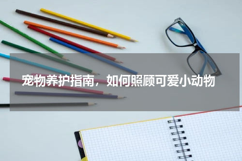  宠物养护指南，如何照顾可爱小动物