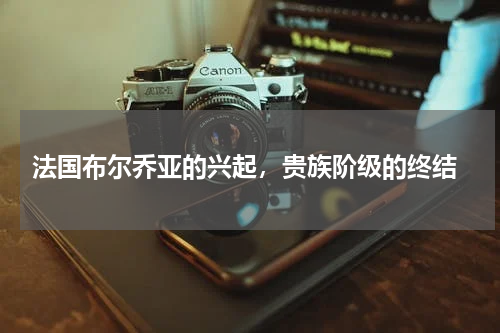  法国布尔乔亚的兴起，贵族阶级的终结