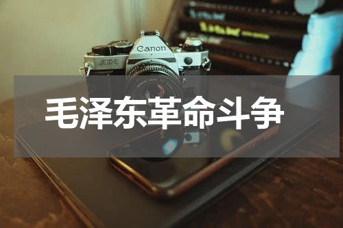  毛泽东革命斗争