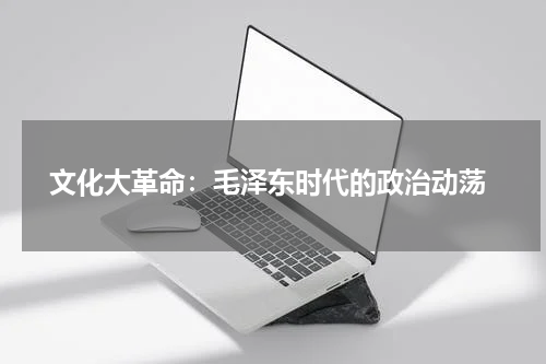  文化大革命：毛泽东时代的政治动荡