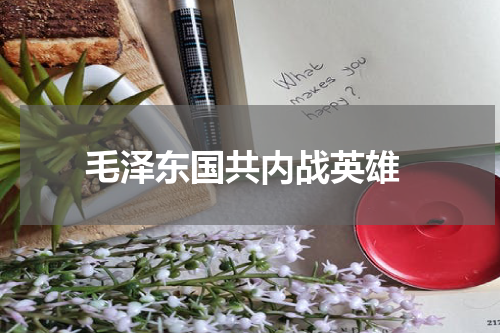  毛泽东国共内战英雄