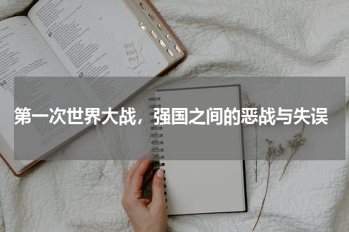  第一次世界大战，强国之间的恶战与失误