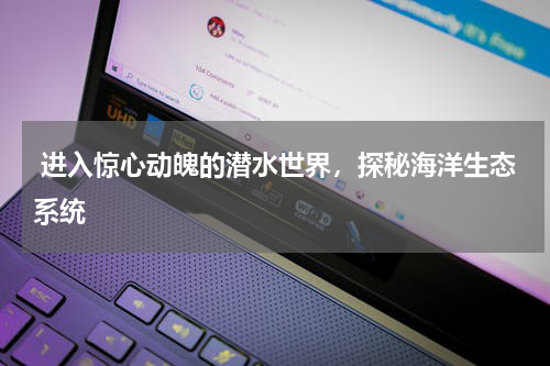  进入惊心动魄的潜水世界，探秘海洋生态系统