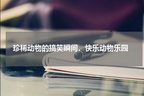  珍稀动物的搞笑瞬间，快乐动物乐园