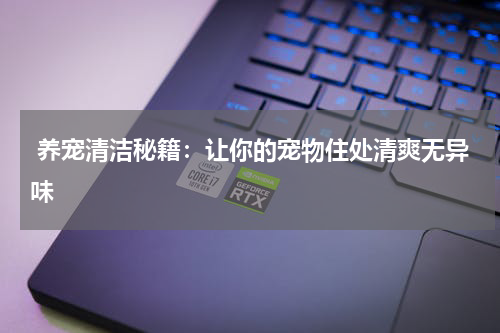  养宠清洁秘籍：让你的宠物住处清爽无异味