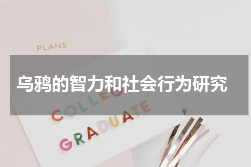  乌鸦的智力和社会行为研究