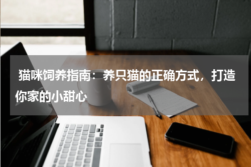  猫咪饲养指南：养只猫的正确方式，打造你家的小甜心