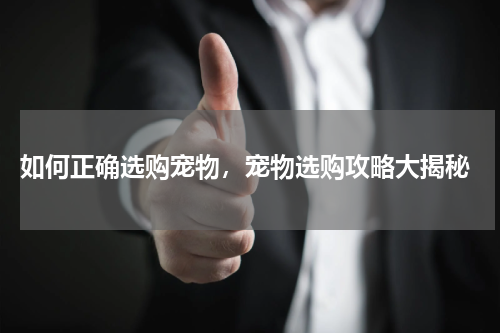  如何正确选购宠物，宠物选购攻略大揭秘