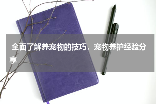  全面了解养宠物的技巧，宠物养护经验分享