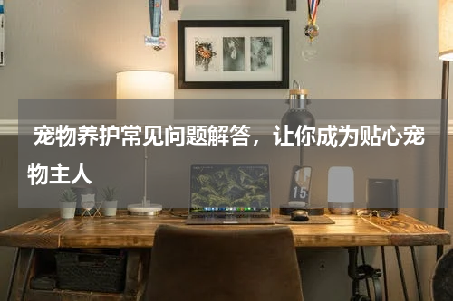  宠物养护常见问题解答，让你成为贴心宠物主人