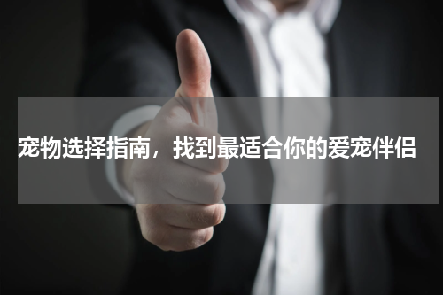  宠物选择指南，找到最适合你的爱宠伴侣