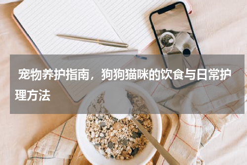  宠物养护指南，狗狗猫咪的饮食与日常护理方法