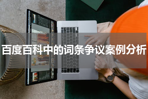百度百科中的词条争议案例分析