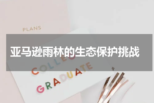  亚马逊雨林的生态保护挑战