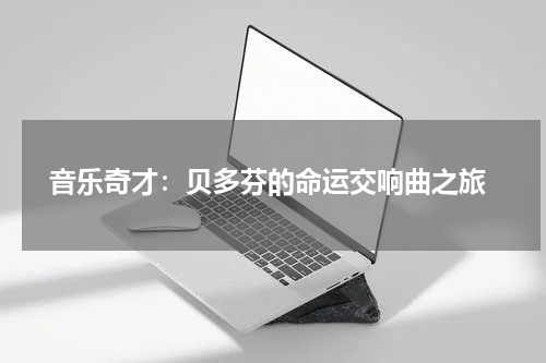  音乐奇才：贝多芬的命运交响曲之旅