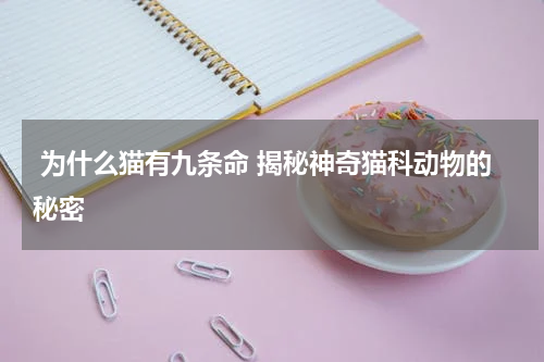  为什么猫有九条命 揭秘神奇猫科动物的秘密