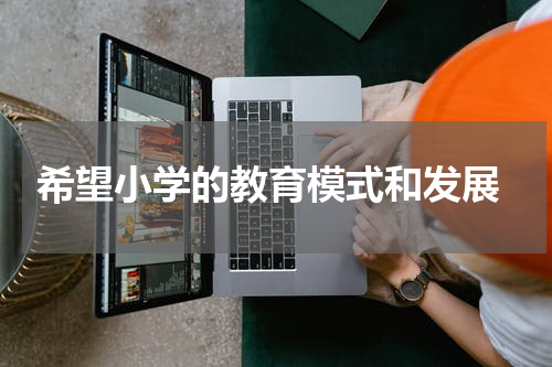  希望小学的教育模式和发展