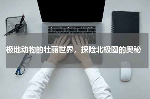  极地动物的壮丽世界，探险北极圈的奥秘