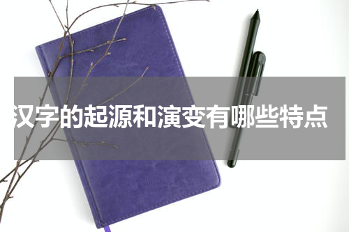  汉字的起源和演变有哪些特点